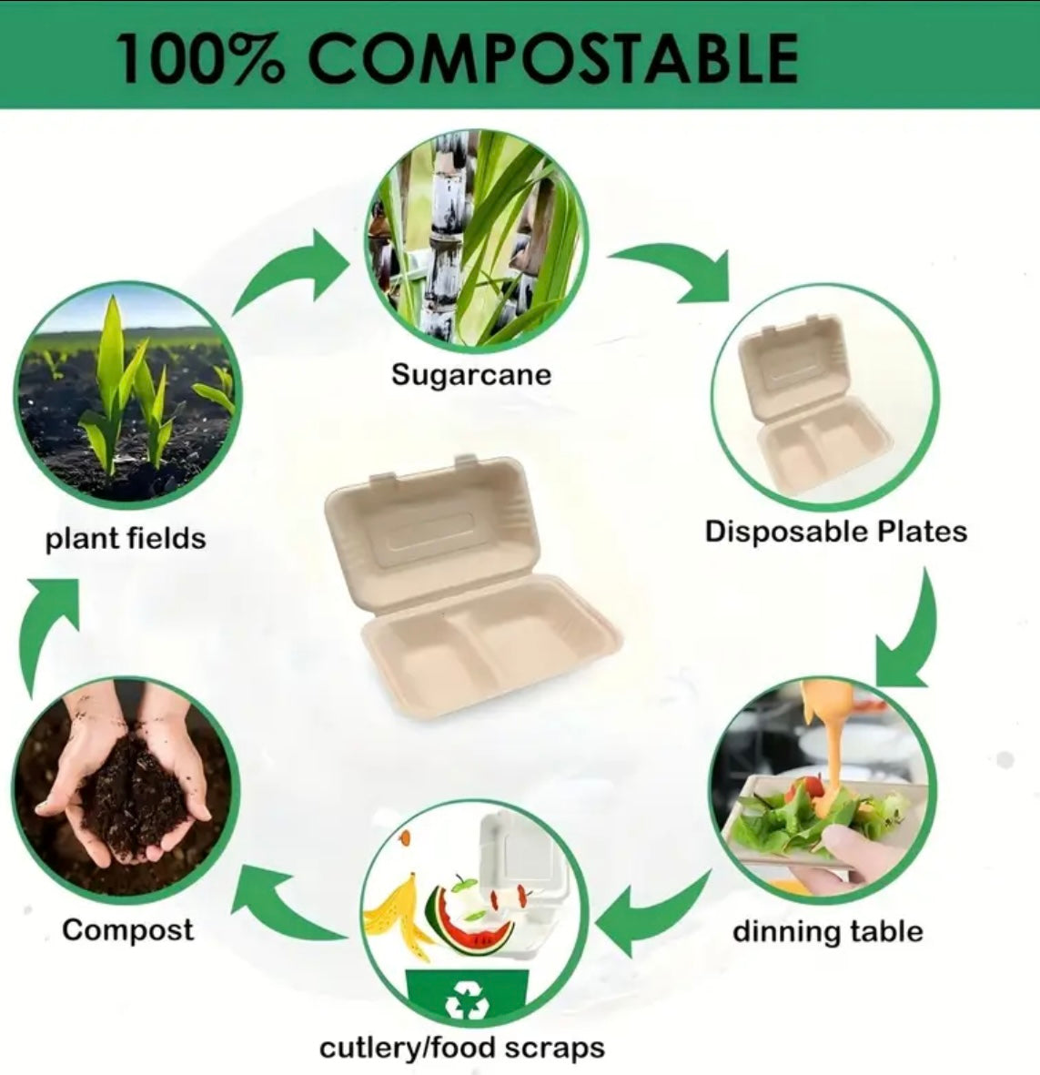 Scatole per il Pranzo Biodegradabili con 2 Scomparti – Con aggiunta le Posate in Bambù